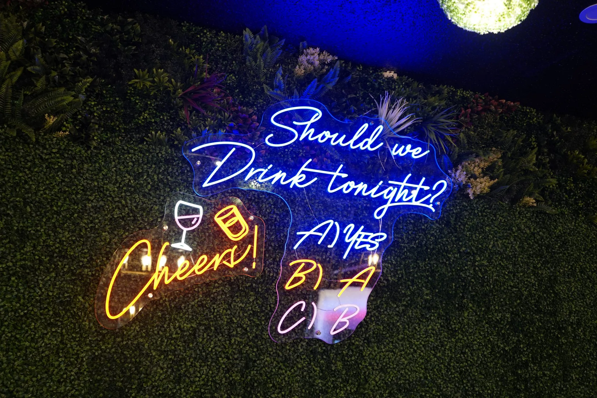Desi Flavour Meets Modern Lounge Vibes